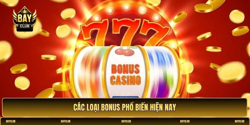 Các loại bonus và cách tận dụng hiệu quả